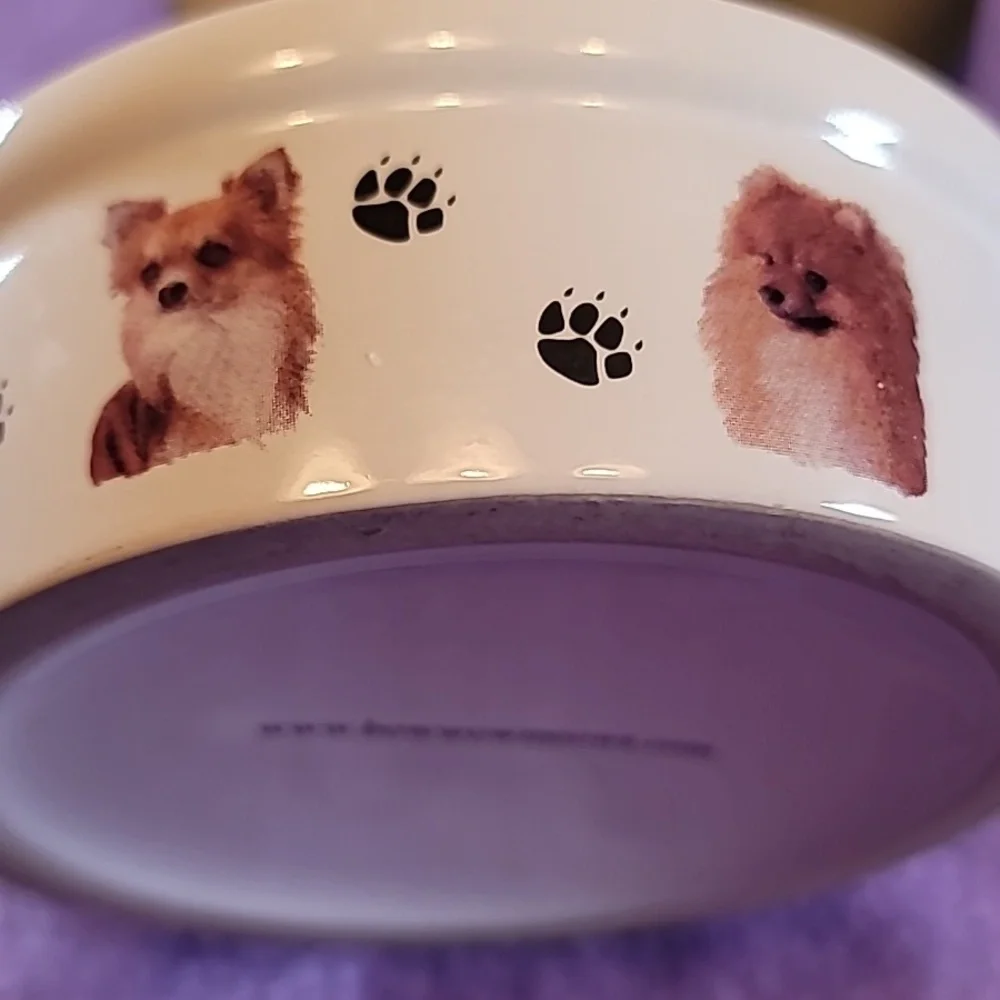 0774. BowWowMeow's Ceramic Decorative Bowl for Small Pet Dogs ~ So classy & Cute
